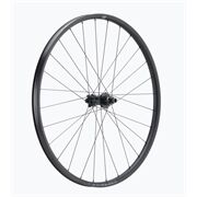 Newmen 'Hinterrad 30-622 29" 28h 12Gang MS CL 12x148 MS