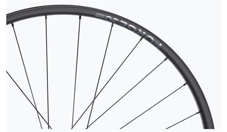 Newmen 'Hinterrad 30-622 29" 28h 12Gang MS CL 12x148 MS