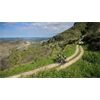 CUBE Gravel Nuroad EX S 12 Gang GRX 2026