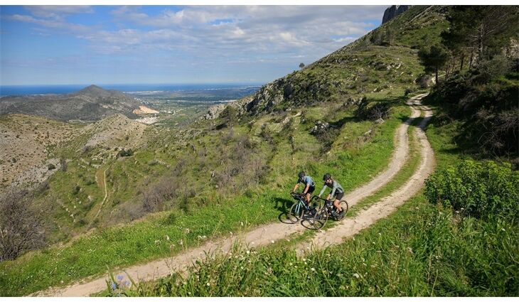 CUBE Gravel Nuroad EX L 12 Gang GRX 2026