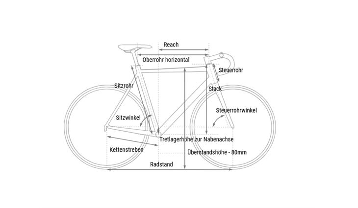 CUBE Gravel Nuroad EX L 12 Gang GRX 2026
