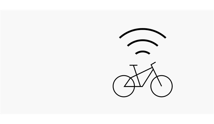 Riese&Müller Elektro Swing Vario 46 cm 28 Zoll