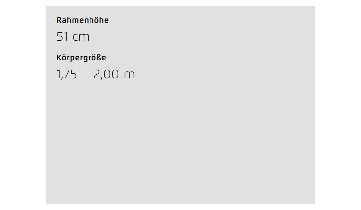 Riese&Müller Multicharger3 MixteTouring HS Grundmodell 2026