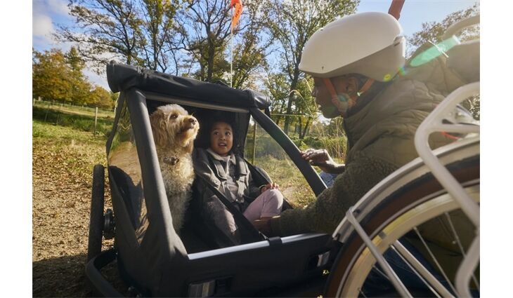 CROOZER Anhänger Yuuna Grundmodell Premiumsitz