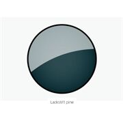 Riese&Müller Lackstift Charger5 8ml