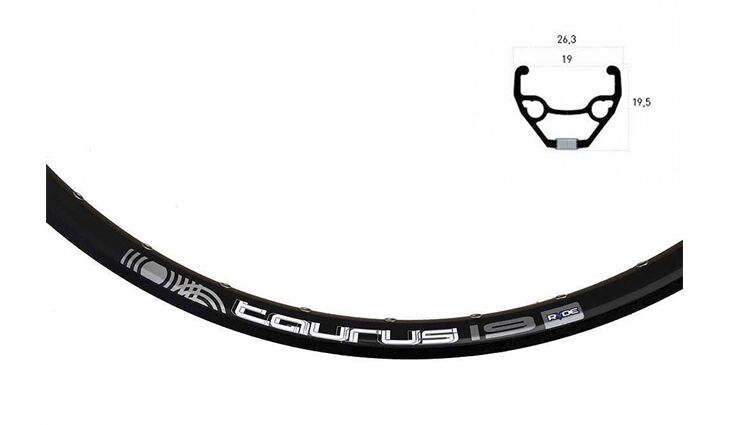 RYDE Hinterrad 28" Taurus Disc Center Lock mit Schnells