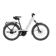 Riese&Müller Nevo5 Automatic 50 CX38 800WH Kiox500 Test