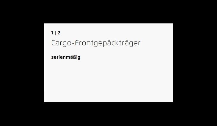 RieseundMüller Multitinker2 Silent Cargo 625WH 5Gang Grundmodell
