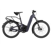 Riese&Müller Homage5 Rohloff CX38 800WH K500 RX Grundmdoell