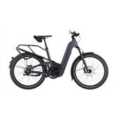 Riese&Müller Homage5 Rohloff HS CX38 800WH K500 RX Grundmdoell