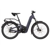 Riese&Müller Homage5 Pinion 800WH 12 Gang RX Grundmdoell