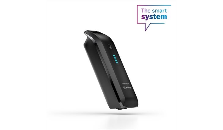 BOSCH Akku PowerPack 545 Frame (EU) (BBP3551)