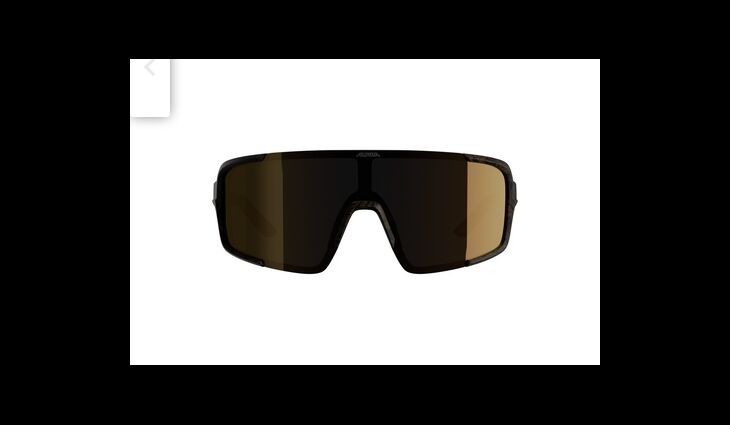 ALPINA Brille LUMINLifestyle Friedrich Artist Series