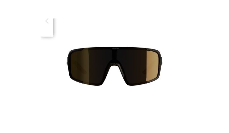 ALPINA Brille LUMINLifestyle Friedrich Artist Series