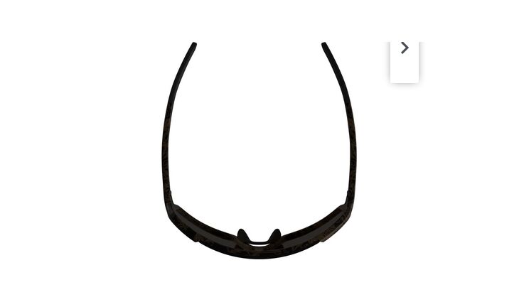 ALPINA Brille LUMINLifestyle Friedrich Artist Series