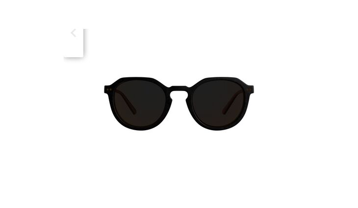 ALPINA Brille SNEEK 2.0 Unisex Friedirch Artis Series