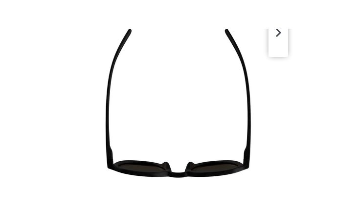 ALPINA Brille SNEEK 2.0 Unisex Friedirch Artis Series