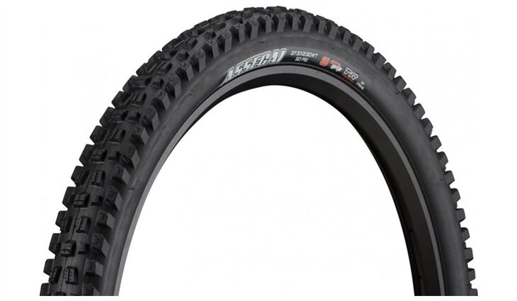 MAXXIS Reifen 63-622 Assegai WT DH, TR 3C MaxxGrip