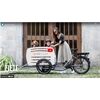 Johansson Bikes E Transportrad Fiete Brose Drive S Sonder