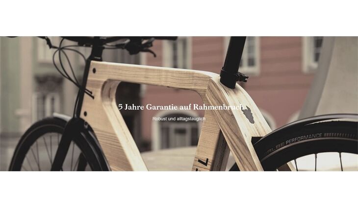 my Esel Elektro Elegance Plus+ M Holzrad