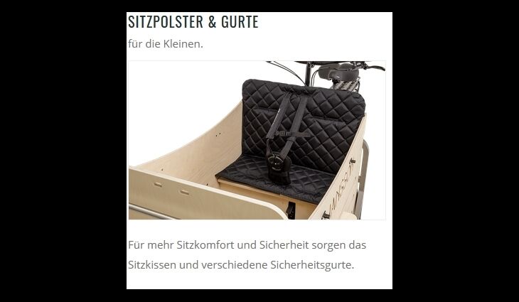 Johansson Bikes Aufpreis Komfort-Sicherheitsgurt Fiete Transport