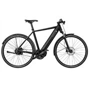 Riese&Müller Elektro Roadster Vario 56 cm Sonder