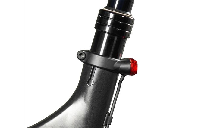 LUPINE Rücklicht C14 für E-Bikes 34,9 Sattelklemme
