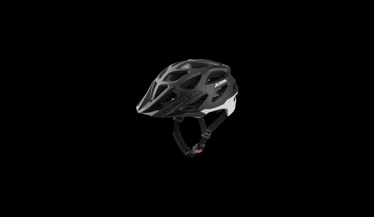 ALPINA Helm Mythos Reflective 59-64