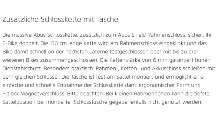 Riese&Müller Elektro Charger4 GT Vario 750 49cm 2022 Test