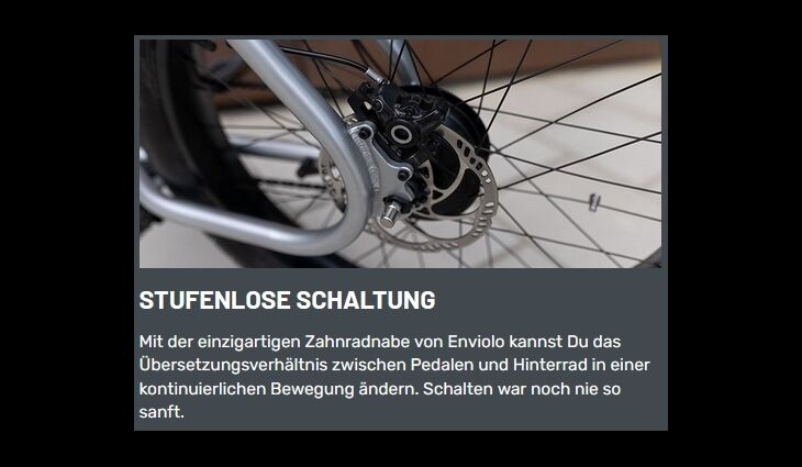 Ruff Cycles Elektro Biggie CX Pedelec Bosch CX 500WH