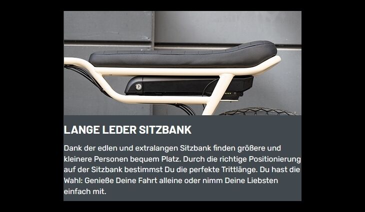 Ruff Cycles Elektro Biggie CX Pedelec Bosch CX 500WH