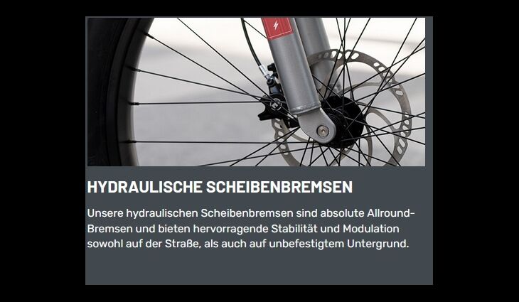 Ruff Cycles Elektro Biggie CX Pedelec Bosch CX 500WH