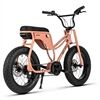 Ruff Cycles Elektro Lil` MISSY Pedelec 500WH