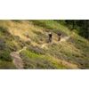 CUBE Bikes E Stereo Hybrid 140 HPC Pro750 27,5 S16" 2023/24