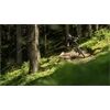 CUBE Bikes E Stereo Hybrid 160 HPC SLX 750 18" M 2023/24