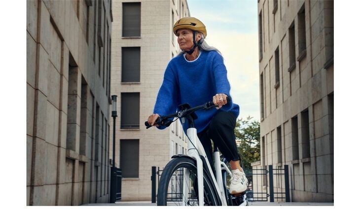 Riese&Müller Elektro UBN Six Silent 57cm 21kg mit Rahmenschlöß