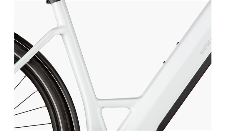 Riese&Müller Elektro UBN Six Silent 45cm 21kg mit Rahmenschloß