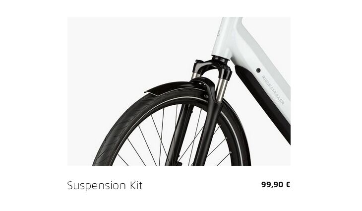 Riese&Müller Elektro UBN Six Silent 45cm 21kg mit Rahmenschloß