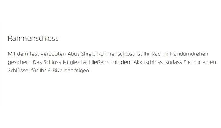 Riese&Müller Elektro UBN Six Silent 45cm 21kg mit Rahmenschloß