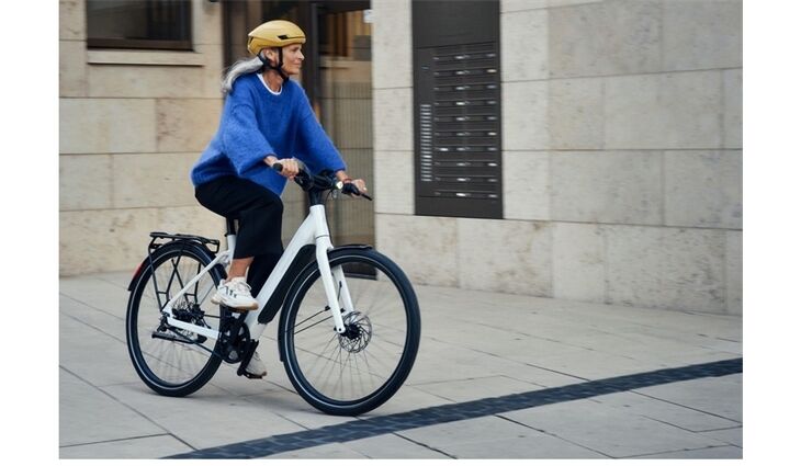 Riese&Müller Elektro UBN Six Silent 45cm 21kg mit Rahmenschloß