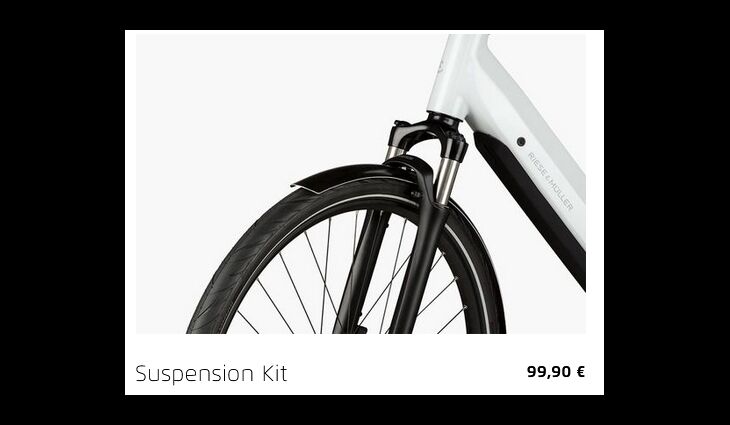 RieseundMüller Elektro UBN Six Silent 57cm 21kg mit Rahmenschloß