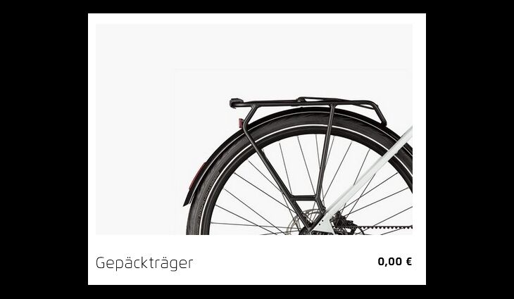RieseundMüller Elektro UBN Six Silent 57cm 21kg mit Rahmenschloß