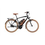 Riese&Müller Elektro Cruiser2 Vario Urban 545Wh 56cm