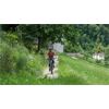 CUBE Bikes E Reaction Hybrid Performance 14" smart625 Allroad