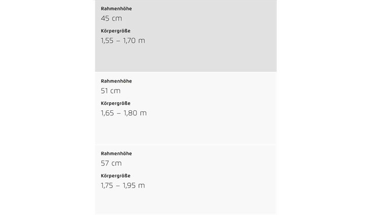 Riese&Müller Elektro UBN Six Silent 51cm Suspension