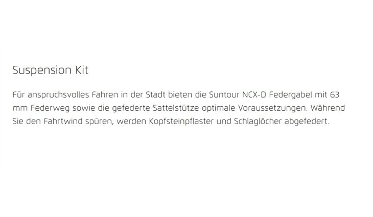 Riese&Müller Elektro UBN Six Silent 51cm Suspension