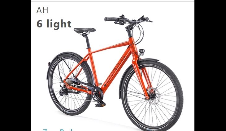 CAMPUS Elektro AH6Light Y-Form 50cm 17,9kg 252Wh Modular