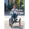Van Raam Elektro Dreirad Easy Rider Sonder