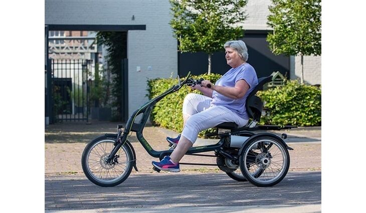 Van Raam Elektro Dreirad Easy Rider Sonder
