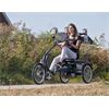 Van Raam Elektro Dreirad Easy Rider Sonder